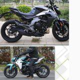 Spirit Beast Motorcycle Modified 3D Oil Tank Cool Waterproof Sticker for Spring NK400NK650 L10 thumbnail-2