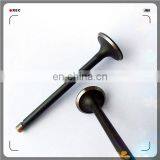 Oem 4A13-1007011 4A13-1007017 Engine Valve for 4A15 thumbnail-6