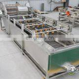 Good Quality Factory Price Commercial Air Bubble 304SUS Ozone Vegetable Washer Fruit Washing Machine thumbnail-5