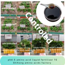 Micronutrients Chelated Amino Acid Liquid Fertilizer Trace Elements Supplement for Garden Farming Crops thumbnail-1
