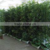 Best Quality House Plant Bamboo Tree/bonsai Tree Plant Plastic Tree/artificial Bamboo Plant thumbnail-1