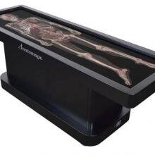 88-inch Virtual Teaching Platform Multi-function Inquiry Machine 3D Human Anatomy System Human Specimen Library Capacitive Touch Table