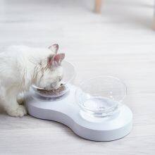 Shallow Cat Bowl​ Slow Feeder With Two Bowls thumbnail-4