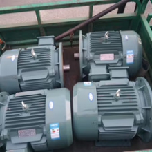 Specialized Motor for Shot Blasting Machines thumbnail-1