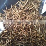 Dried Shiitake Mushroom Spawn