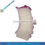 Branded Usb Flash Drive Made in China