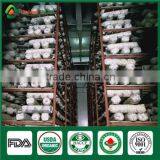 China Professional Supplier Factory Price for Shiitake Mushroom Spawn Growing Kit thumbnail-1