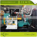 Reliable Quality 100kw Natural Gas Generator Open Type or Silent for Sale
