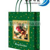Hot Sale Green Printed Paper Bag for Gift Package