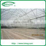 Commercial Greenhouse With Cooling System thumbnail-3