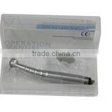 Dental Model LY-14-01