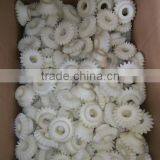 High Quality Plastic Spur Gear thumbnail-4