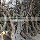 Fashion Window Diplay Decoration Tree Trunk Supplies thumbnail-5