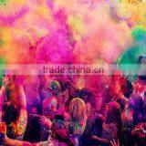 Easy on Skin Natural Ingredients Holi Powder Starch Non-toxic Running Powder High Quality Farben Powder thumbnail-5