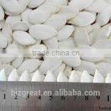 Roasted Snow White Pumkin Seeds With Salt Coat for Sale thumbnail-6