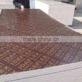 Shandong Plywood Manufacture thumbnail-2