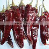 American Red Chili Whole thumbnail-1