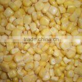 Hot sale iqf frozen sweet corn yellow corn kernels