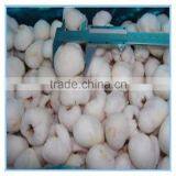 2016 New High Quality Fresh IQF Frozen Lychee Meat thumbnail-4