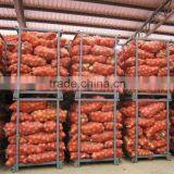 Red Onion thumbnail-6