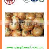 BUlk 2016 New Crop Fresh Yellow Onion thumbnail-3