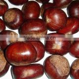 Types of Chinese origin fresg chestnut