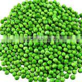 FD Dehydrated Freeze Dried Green Beans