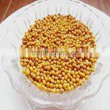 JSX Food Grade yellow mung bean medium size cheap price bulk mung beans