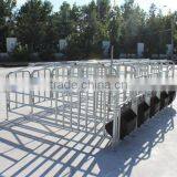 Pig Farming Breeding Equipment/ Gestation Cage/pig Cage/Monomer Sty/pig Stall/sow Single Stall/nursery Stall/farrowing Cage thumbnail-3