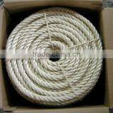Sisal Rope Coil Price thumbnail-3