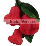 ROSE APPLE FRUIT MAGNET RESIN 3D FRIDGE MAGNET SOUVENIR thumbnail-2