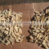 PG-5 Soya Bean Processing Machine thumbnail-6