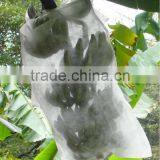 Spunbond 100% pp Nonwoven Fabric Non Woven Fabric Agriculture Fabric thumbnail-3