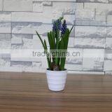 Plastic Hyacinth Flower Bonsai for Home and Commercial Decoation thumbnail-2