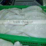 EU Standard Pacific Squid Tube thumbnail-2