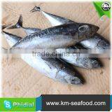 Carton or Woven Bag Packed Fat Content 16%-18% Bonito wr thumbnail-4