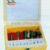 Tungsten Carbide Tipped Router Bit for Wood--5cs Kit Packing(0791)