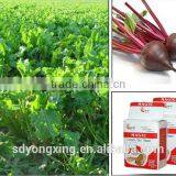 500g/bag High Sugar Instant Dry Yeast Made in China thumbnail-4