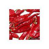 Sell Wangdu Chili thumbnail-1