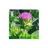 Milk Thistle Extract thumbnail-1