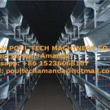 Kuwait Poultry Farming Raising Chicken With Small Chicks Cage & Day Old Chicken in Coop & Chicken House