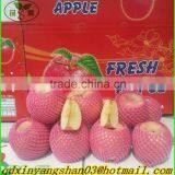 Wholesale Price Apple Fruit From China/Fresh Apples thumbnail-1
