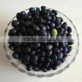 Organic Black Bean Green Inside thumbnail-1