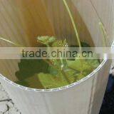 Plastic Tree Guards/Outdoor Tree Protectors/Plant Tree Shelters thumbnail-1