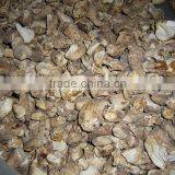 High Quality Dried Shiitake Mushroom Leg