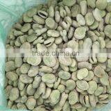 Frozen Black Beans thumbnail-2