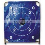 Target Passing Skill