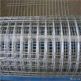 Trade Assurance Welded Wire Mesh Panel for Building thumbnail-2