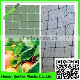 100% Original Raw Material With UV Additives Bird Netting Heavy Duty Hdpe Plastic Mesh Netting Garden Protection Net thumbnail-3