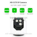 Vitevision P2P 1MP 1.3MP 2MP Optional Indoor Convert Cctv IP Camera